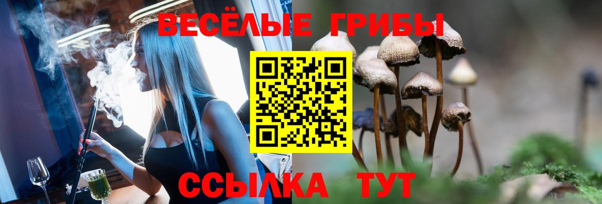 Ростов Великий  Галлюциногенные грибы прущие грибы  Вход с VPN  Галлюциногенные грибы MAGIC MUSHROOMS 